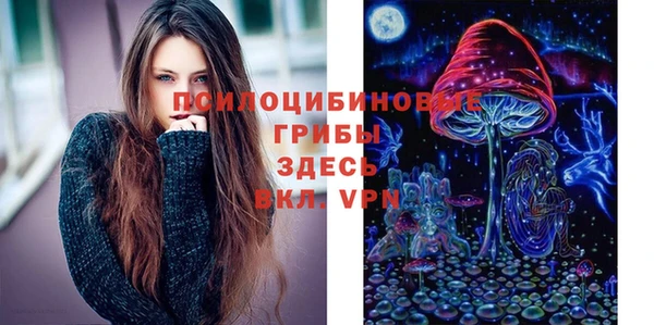 гашик Липки